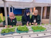 Mahasiswa Unisnu Gandeng Bagus Hydrofarm Kembangkan Pertanian Modern ke Pesantren