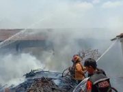 Gudang Limbah Kayu Mebel Ludes Terbakar