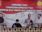 Vita Inginkan Petani di Wonosobo Kembangkan Tanaman Kakao