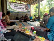 Jepara Akan Kembangkan Budidaya Kurma