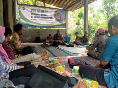 Jepara Akan Kembangkan Budidaya Kurma