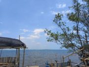Sutrisno, Membangun Mimpi Sendiri di Pantai Selayar yang Indah