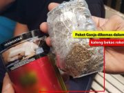 Bea Cukai Kudus Gagalkan Pengiriman Paket Ganja 50 Gr