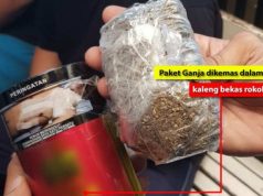 Bea Cukai Kudus Gagalkan Pengiriman Paket Ganja 50 Gr
