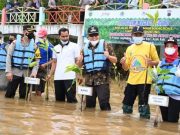 Mageri Segoro, 50 Ribu Pohon Mangrove Ditanam di Pesisir Kebumen