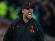 Produktivitas Si Merah yang Sungguh Gagah