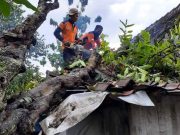 Hujan Lebat Disertai Angin Kencang Melanda Kota Wonogiri
