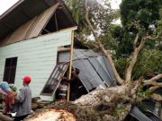 BMKG Peringatkan Angin Kencang Akan Melanda Beberapa Wilayah di Indonesia