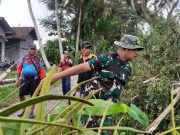 Babinsa Ajak Warga Dusun Blaburan Kerja Bakti Pangkas Ranting Pohon
