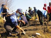 Mageri Segara Semarang, Kapolrestabes dan Forkompimda Tanam Mangrove di Pantai Tirang