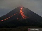 Gunung Merapi Meluncurkan Awan Pijar Sampai 9 Kali Sejauh 1,8 Kilometer