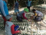 Budaya Gotong Royong di Desa Masih Ada, Kompak Warga Bangun Rumah di Kalangrejo Kunduran