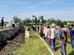 Camat, Danramil, Kapolsek Sambong Kompak Kerja Bakti di Mejurang