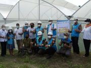 ‘Electrifying Agriculture’ di Klopoduwur Blora, Tanaman Melon Disiram Secara Elektronik
