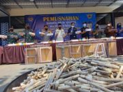 Bea Cukai Tegal Musnahkan 4,5 Juta Batang Rokok Ilegal, Kerugian Negara Rp 2,68 M