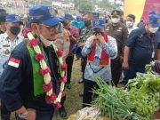 Mentan RI Syahrul Yasin Limpo Tinjau Kick Off Food Estate di Lamuk Kalikajar Wonosobo
