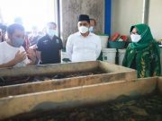 Budidaya Maggot Bisa Jadi Solusi Tumpukan Sampah Organik