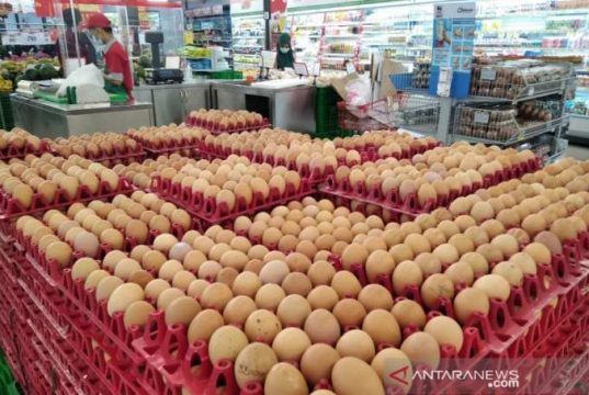 Harga Telur di Kudus Hari Ini, Tembus Rp 31 Ribu Per Kg