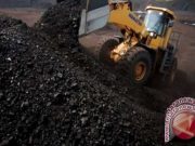Jasad Korban Bencana 11 Tahun Silam Ditemukan di Selandia Baru