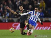 Brighton dan Newcastle Sama-sama Gagal Keluar dari Tren Nirmenang