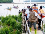 Bupati Pacitan Pimpin Gerakan Tanam Mangrove di Hilir Sungai Grindulu