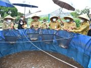 Bupati Panen Lele dan Tanam Padi di “Kebun Kita” Rumah Dinas