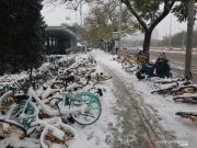 Badai Salju Lumpuhkan Sektor Transportasi di China