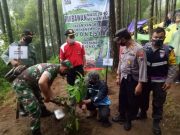 Forkompincam Ngablak Hijaukan Gunung Andong