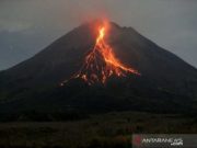 Merapi Meluncurkan Guguran Lava Pijar 15 Kali Sejauh 2.000 Meter