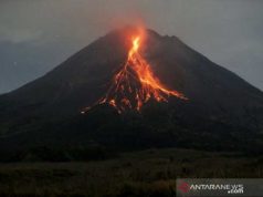 Merapi Meluncurkan Guguran Lava Pijar 15 Kali Sejauh 2.000 Meter