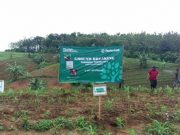 Perhutani Lakukan Ground Breaking Tanaman di BKPH Kalinanas Kabupaten Blora.