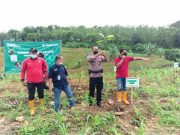 Polsek dan Koramil Japah Dukung Kegiatan Penanaman Pascatebangan