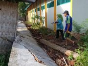 Bangunan Tembok SDN Tambahrejo Roboh, Diterjang Hujan dan Angin Kencang