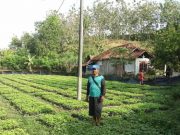 Perhutani Mantingan Kerja Sama dengan LMDH Sumber Rejeki untuk Persemaian