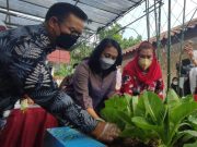 Rumah Gizi & Kebun Gizi, Sarana Perbaikan Gizi & Ketahanan Pangan Rumah Gizi dan Kebun Gizi, Sarana Perbaikan Gizi dan Ketahanan Pangan