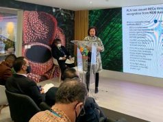 Sukses Uji Coba Perdagangan Emisi Karbon, PLN Dukung Indonesia Pimpin Perdagangan Karbon Global