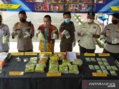 Polisi Ungkap 13,722 Kg Narkoba di Lubuk Linggau dari Medan