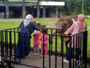 Level II PPKM, Pengunjung di Bawah 12 Tahun Boleh Masuk Candi Borobudur level II PPKM