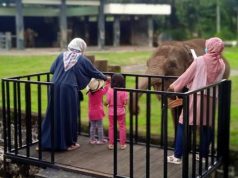 Level II PPKM, Pengunjung di Bawah 12 Tahun Boleh Masuk Candi Borobudur level II PPKM
