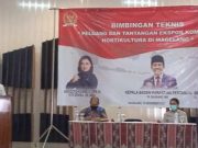Produk Hortikultura, Komoditas Unggulan Kabupaten Magelang holtikultura