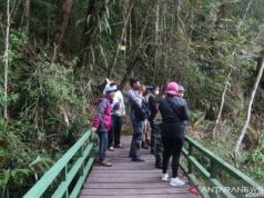 Berkunjung ke Taman Nasional Lore Londe, Berkemah dan Mengamati Burung