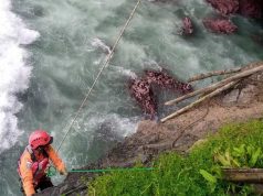 Basarnas Cilacap Belum Temukan Sadar yang Diduga Tenggelam di Pantai Karangbolong