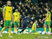 Arsenal Kubur Mimpi Norwich Menangi Boxing Day Perdana di Liga Premier