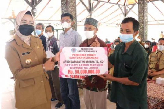 Bupati Brebes Minta Bantuan Ternak Jangan Diselewengkan
