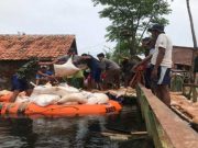 228 Korban Banjir di Kota Pekalongan Masih Mengungsi