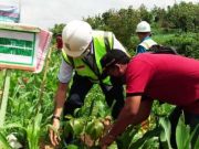 Program Kemitraan Bina Lingkungan Perhutani Tanam Pohon di BKPH Kalinanas
