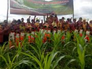 Anak-anak Usia Dini Diajak Belajar Menanam Pohon di Hutan Randublatung