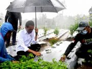 Di Hadapan Presiden Jokowi, Petani Wonosobo Ungkap Manfaat Lumbung Pangan