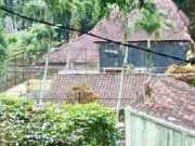 Harimau di Bonbin Serulingmas Lompat ke Atap Kandang, Ini Sebabnya?