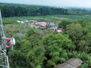 Pascaerupsi Gunung Semeru, XL Pastikan Jaringan Aman